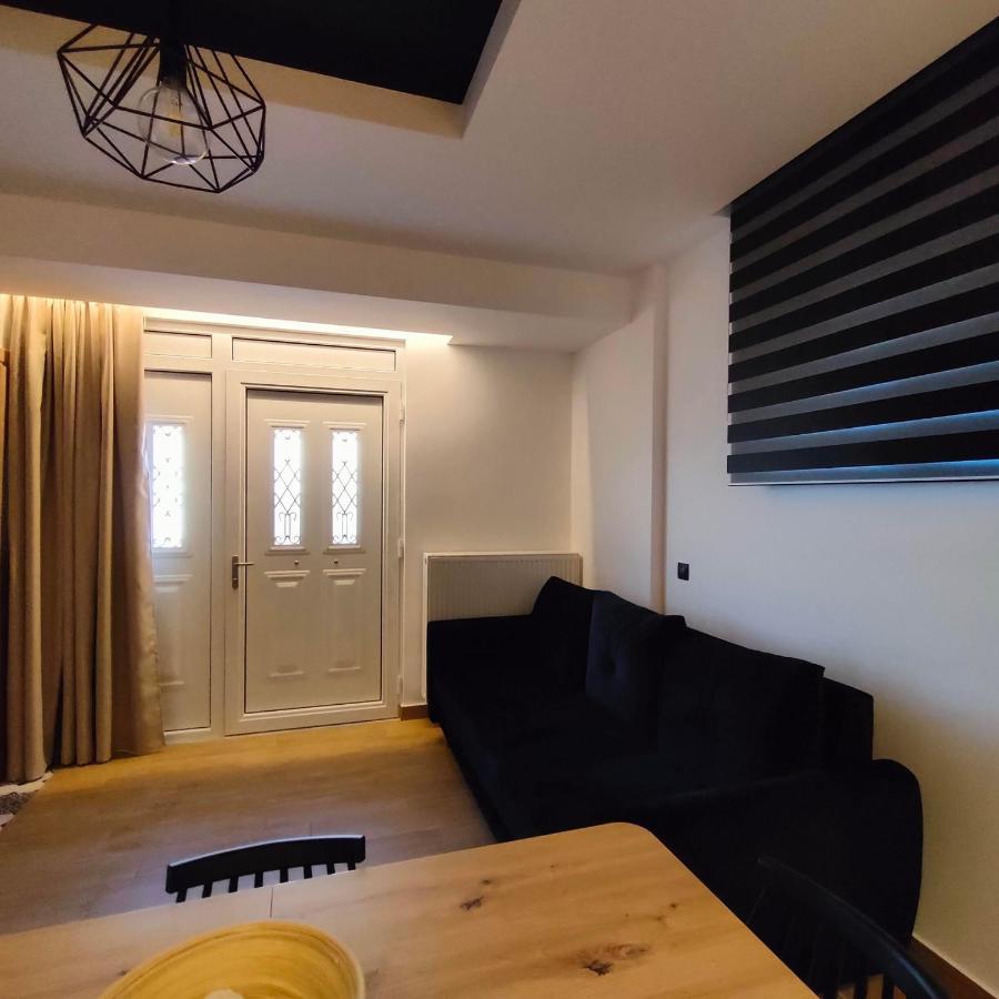 Gekas Premiun City Center Apartment Kalampáka Dış mekan fotoğraf